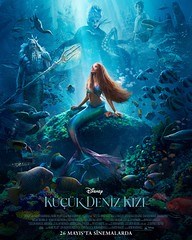 KÜÇÜK DENİZ KIZI